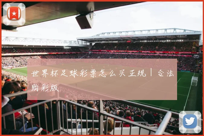 世界杯足球彩票怎么买正规｜合法购彩版