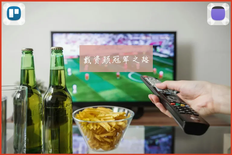 戴资颖冠军之路