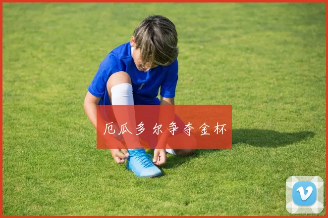 厄瓜多尔争夺金杯