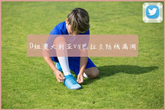 D组澳大利亚vs巴拉圭防线漏洞