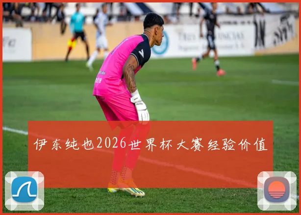 伊东纯也2026世界杯大赛经验价值
