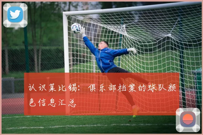 认识莱比锡：俱乐部档案的球队颜色信息汇总