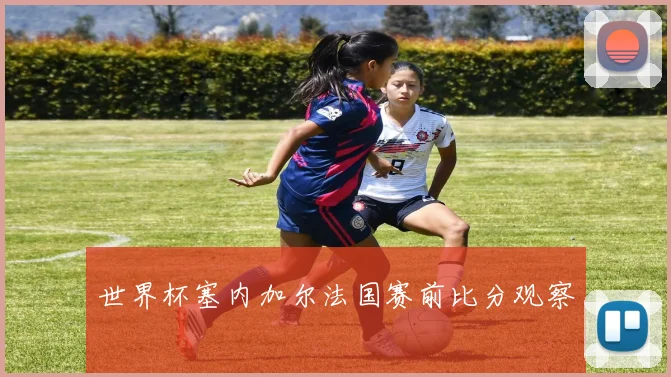 世界杯塞内加尔法国赛前比分观察