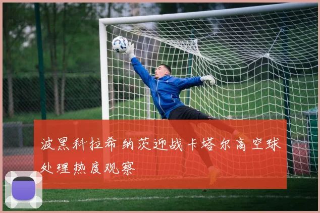 波黑科拉希纳茨迎战卡塔尔高空球处理热度观察