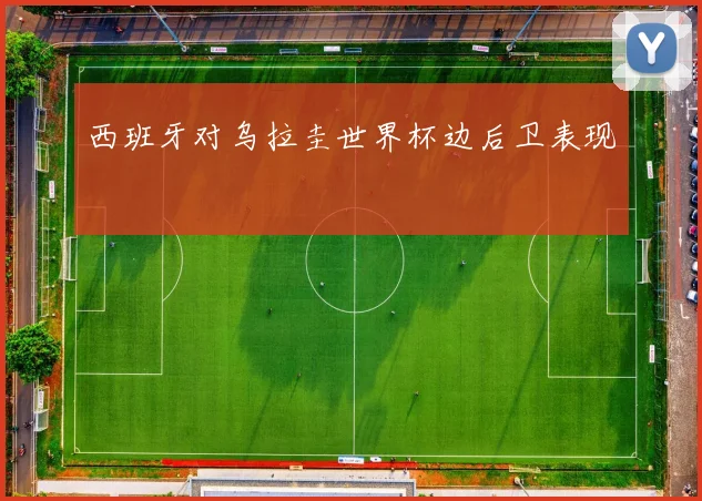 西班牙对乌拉圭世界杯边后卫表现