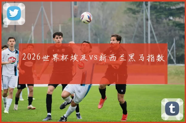 2026世界杯埃及vs新西兰黑马指数