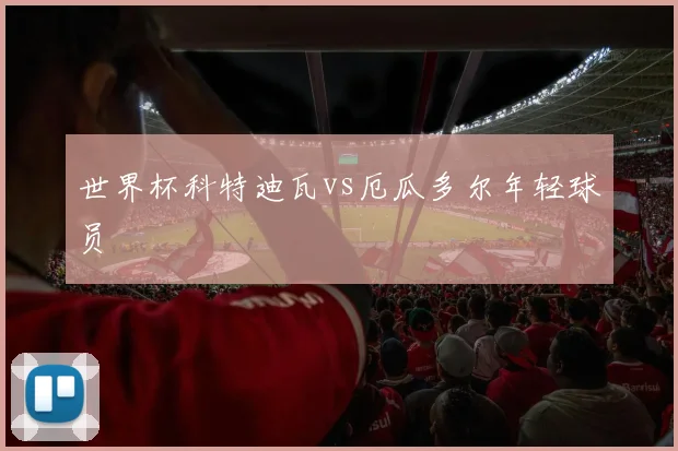 世界杯科特迪瓦vs厄瓜多尔年轻球员